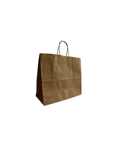 SC3355 | Twisted Handle Bag in Brown Recycled Paper