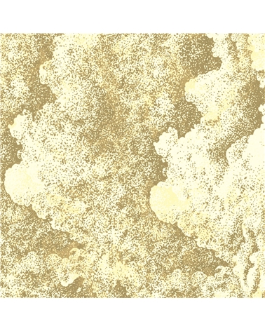 Rolo Papel Marmoreado Dourado – rollo de papel – Coimpack Embalagens, Lda