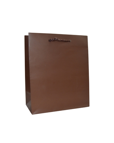 SC3055 | Brown Shopping Bags with PP Handles