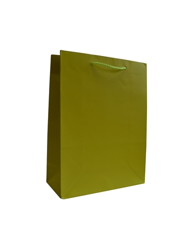 SC3060 | Green Shopping Bags with PP Handles