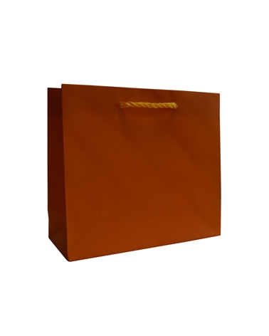 SC2399 | Orange Shopping Bags with PP Handles