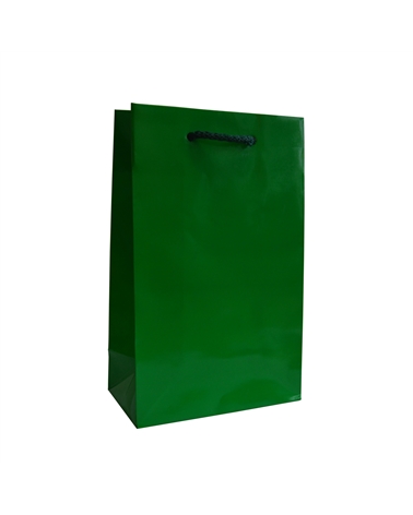 PR0063 | Prestige Green Luxury Bag