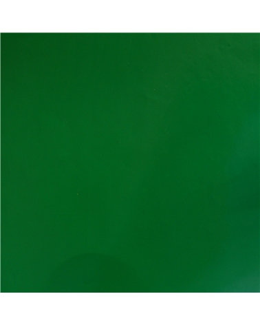 PP1261 | Papel Couché Branco Fundo Verde