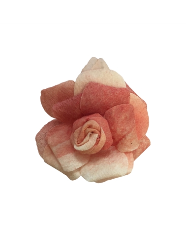 LÇ0711 | Laços | Rosas Autocolantes Gr Laranja