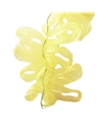 Fita Tecido Amarelo 25mm – Fitas – Coimpack Embalagens, Lda