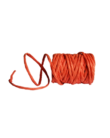 FT3140 | Ruban "Rope Corda" Orange