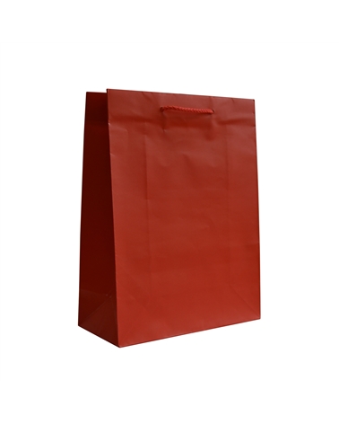 SC2259 | Reinforced Red Shopp. Bags with PP Handles