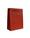 SC2259 | Reinforced Red Shopp. Bags with PP Handles