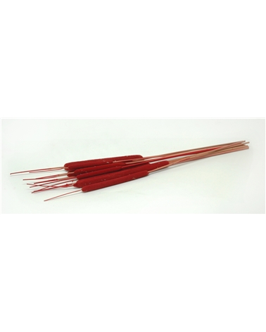 FCAT SCHILFKOLBEN RED (SC C/10) (10) – Several – Coimpack Embalagens, Lda