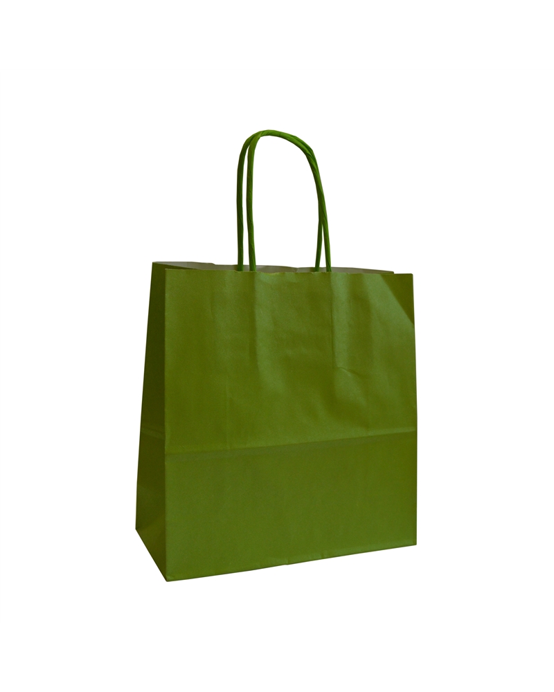 SC1591 | White Kraft Twisted Handle Bag Printed Pearly Green