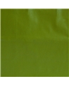 White Kraft Twisted Handle Bag Printed Pearly Green – Twisted Handle – Coimpack Embalagens, Lda