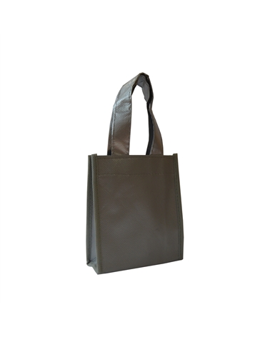 SC2595 | PP Non Woven Bag W/ Gloss Lamination Silver