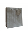 SC2121 | Luxury Handmade Bag Silver Printed