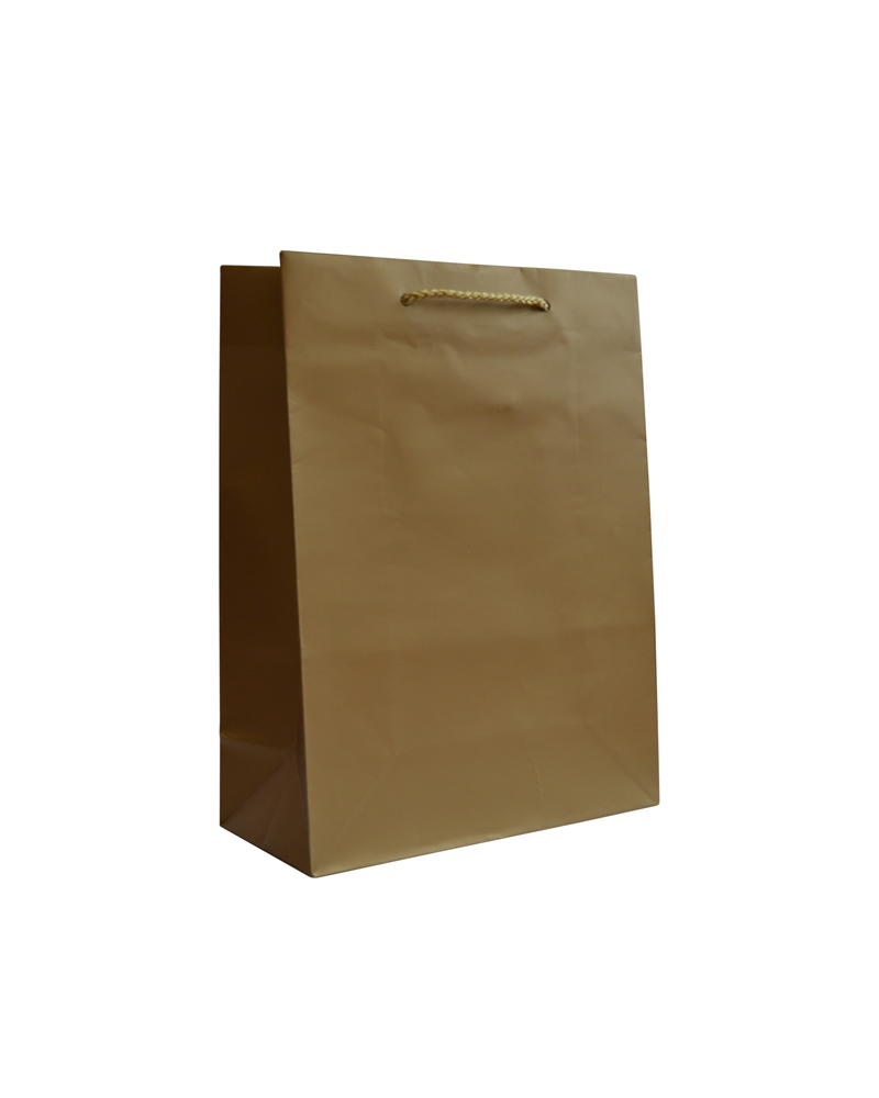 SC3057 | Gold Shopping Bags with PP Handles