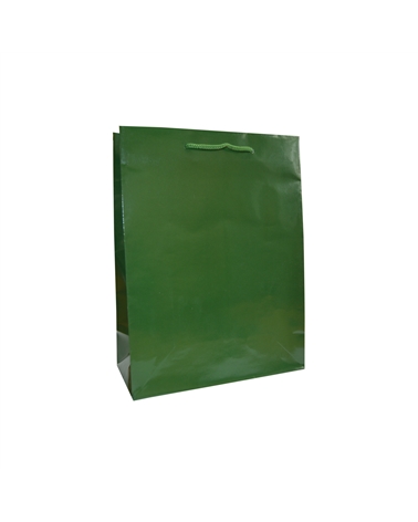 SC3269 | Dark Green Embossing Paper bag with Cord