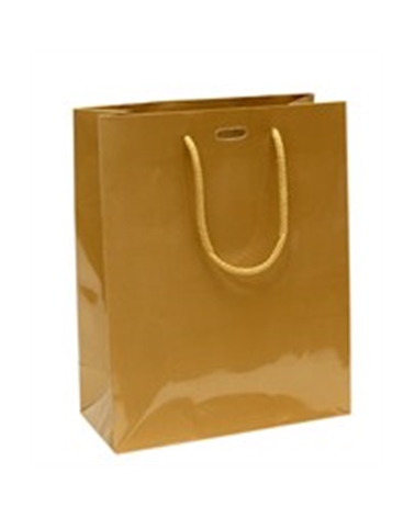 SC0896 | Prestige Gold Luxury bag with ribbon slot