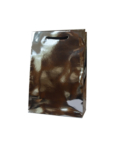 SC3034 | Prestige Silver Metal Laminated Luxury bag