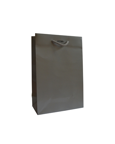 SC0935 | Prestige Silver Luxury bag with ribbon slot