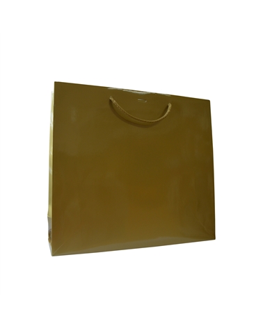 SC0898 | Prestige Gold Luxury bag with ribbon slot