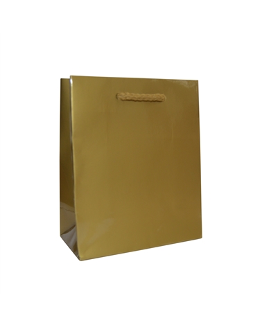 SC0894 | Prestige Gold Luxury bag with ribbon slot