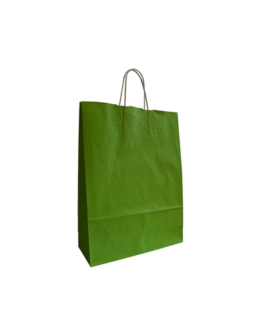 Saco Asa Retorcida Branco Liso Fundo Verde Claro – Sacos Asa Retorcida – Coimpack Embalagens, Lda