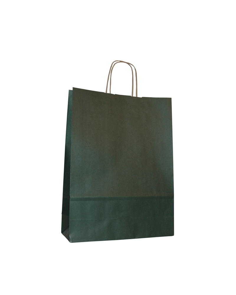 SC3550 | Brown Kraft Twisted Handle Bag Dark Green