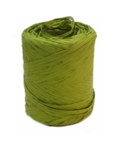Polyraphia in Green – Ribbons – Coimpack Embalagens, Lda