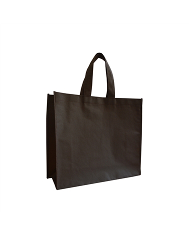 SC3288 | Brown Non Woven Bag