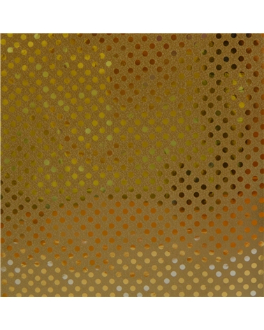 BB1757 | Roll Paper Double Sided Gold with Dots