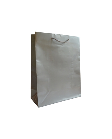 SC3263 | Prestige Silver Embossing Paper bag with Cord