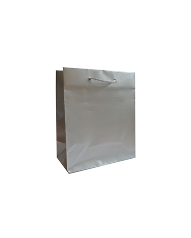 SC3262 | Prestige Silver Embossing Paper bag with Cord