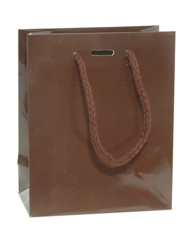 SC3214 | Prestige Brown Luxury bag with ribbon slot