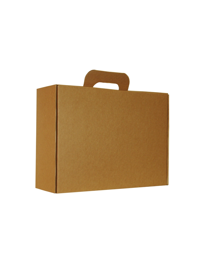 CX4098 | Box in Kraft Natural Cardboard