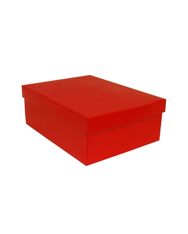 Caixa Lino Rosso F/C -dp Easy 300x230x110 – Caixas Flexíveis – Coimpack Embalagens, Lda
