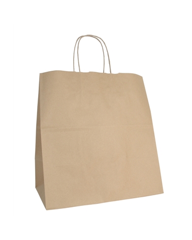 SC3031 | Twisted Handle Bag Take Away in Recicled Kraft